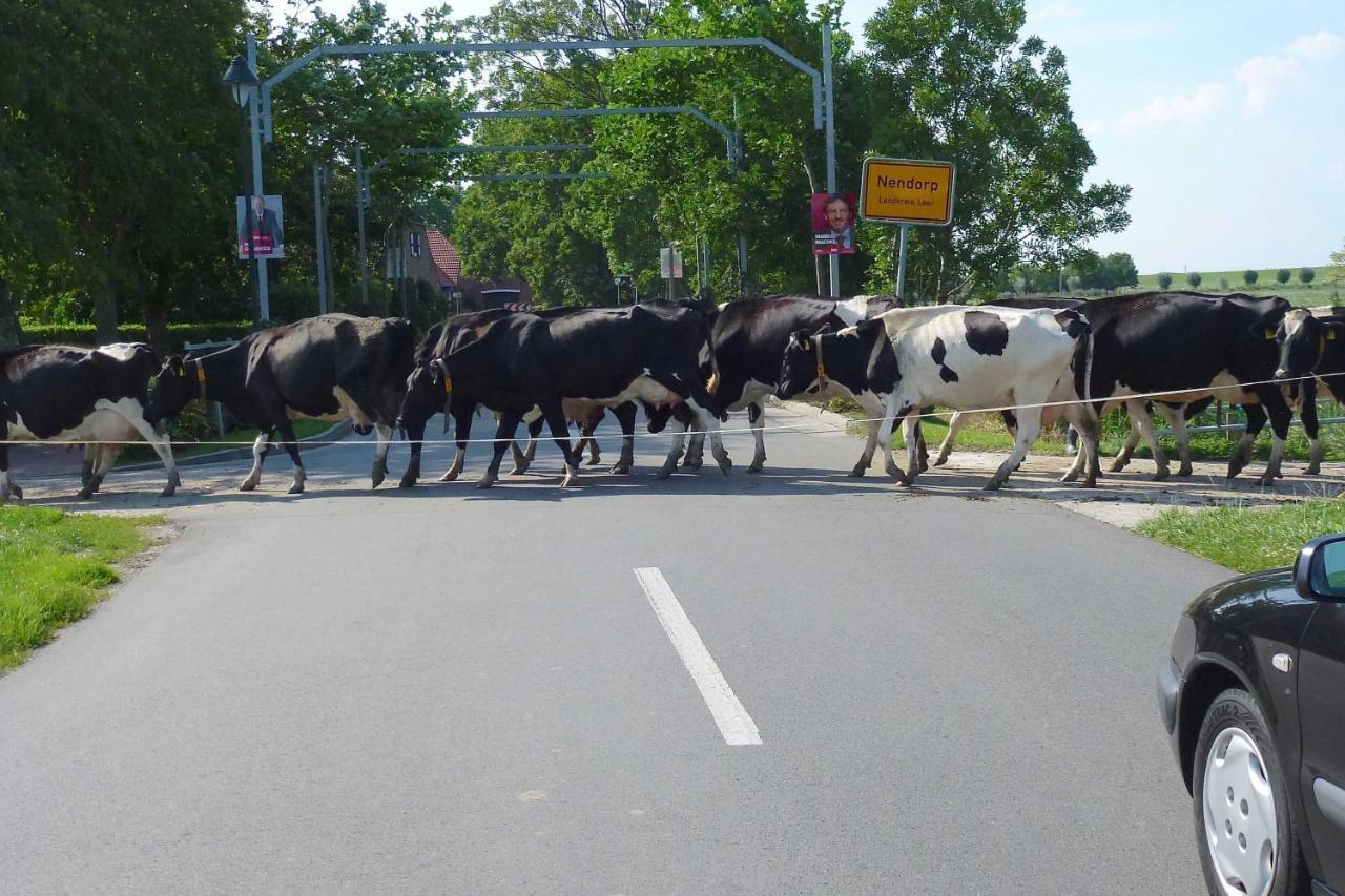 Ferienhof van Vlyten_ 45006 Jemgum Buitenkant foto